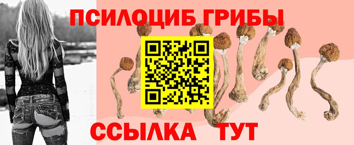 Псилоцибиновые грибы прущие грибы  Вход с VPN  Михайловка 